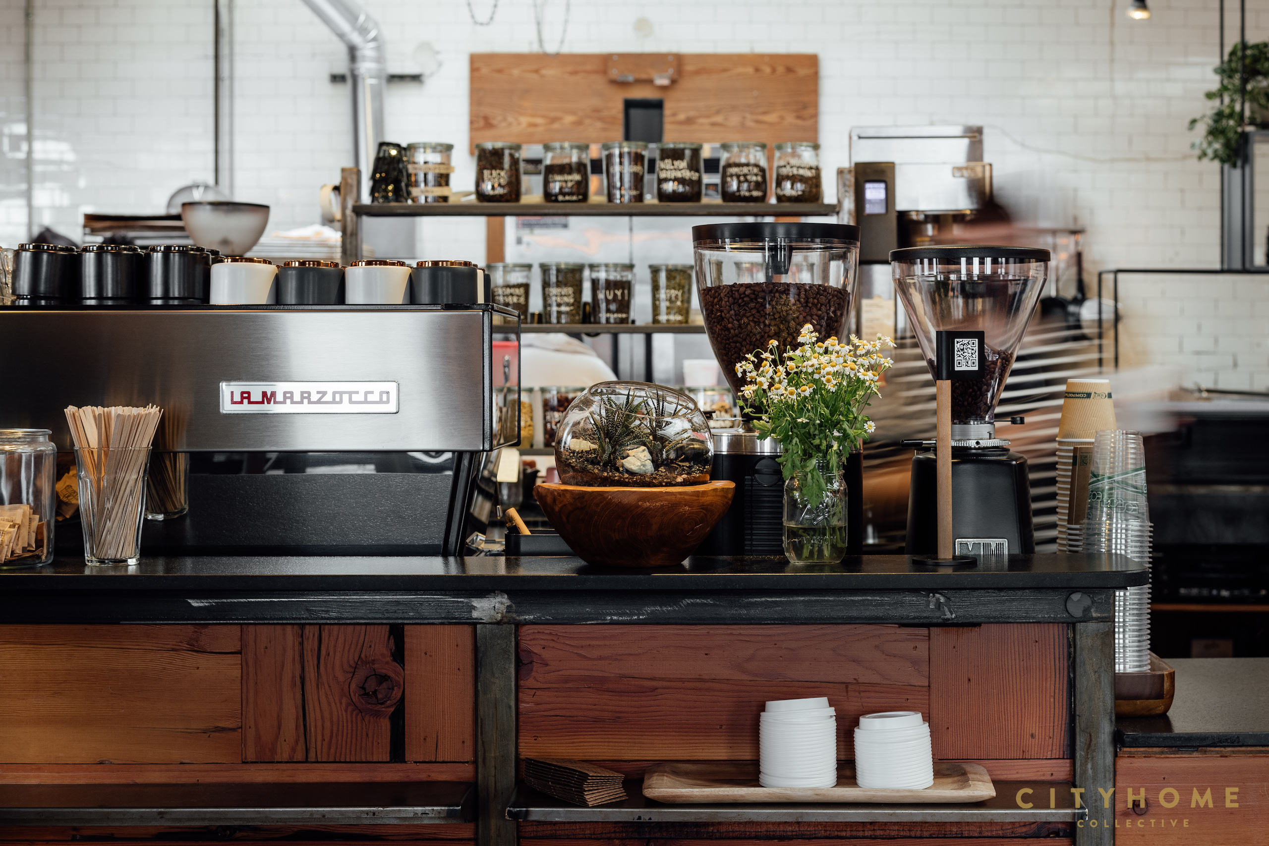 The Rose Establishment Reemerged